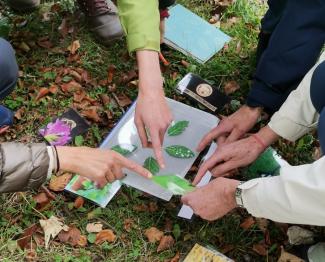 Formation naturaliste : La nature au fil des saisons