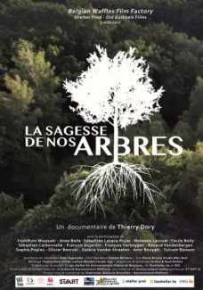 La Sagesse de nos Arbres
