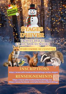 Affiche stage