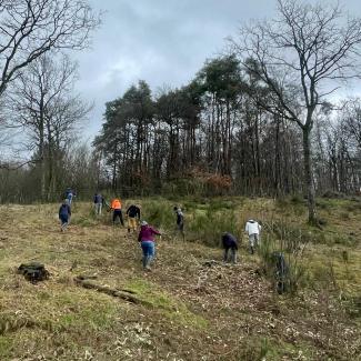 Entretien collectif du marais de Heinsch 