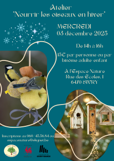 Nourrir les oiseaux en hiver