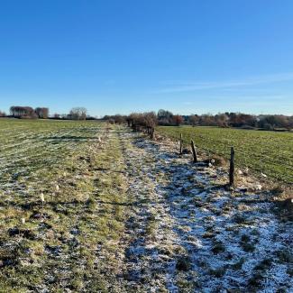 Le Sentier de la Biodiversité sous le gel d'automne