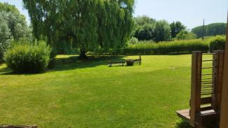 une image d'un parc vert avec un banc en bois et une saule pleureur