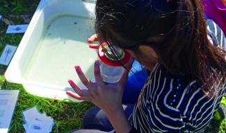 enfant ruisseau boite-loupe