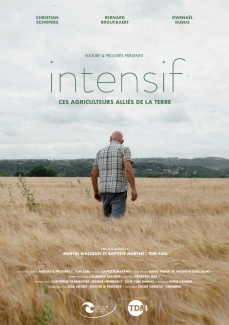 Intensif