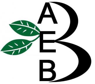 aeb