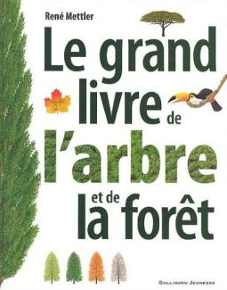 arbre