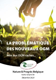 OGM.JPG