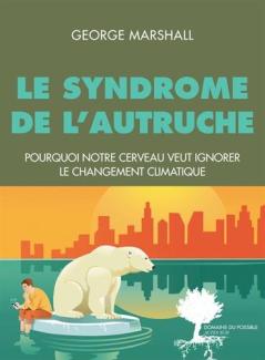 Syndrome de l