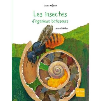 insectes batis