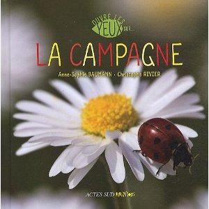 camp
