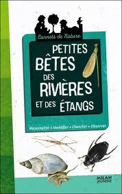 bestioles