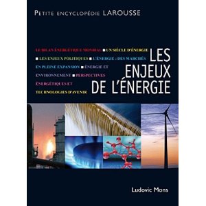 enjeux en